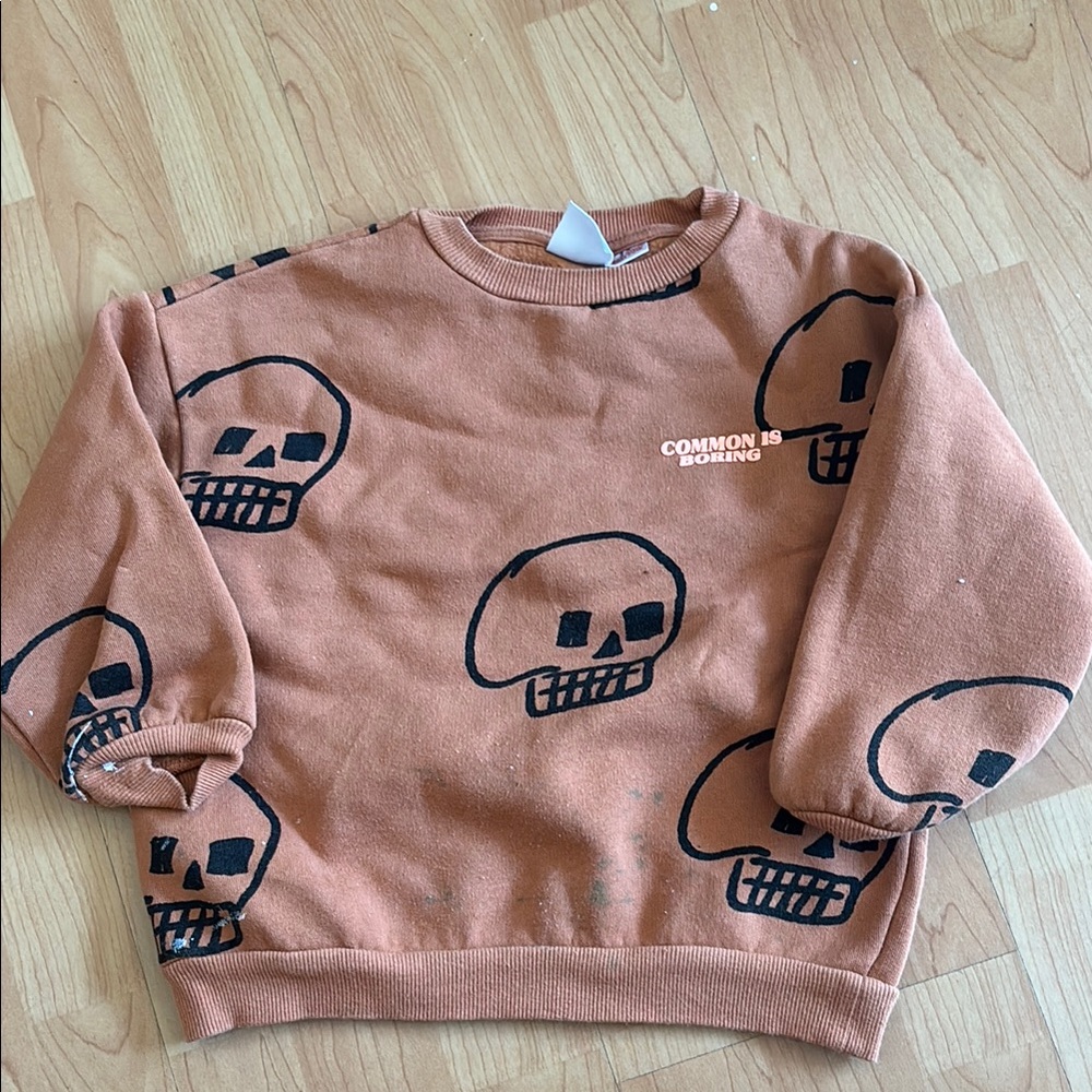 Zara Rust Colored Skull Sweater